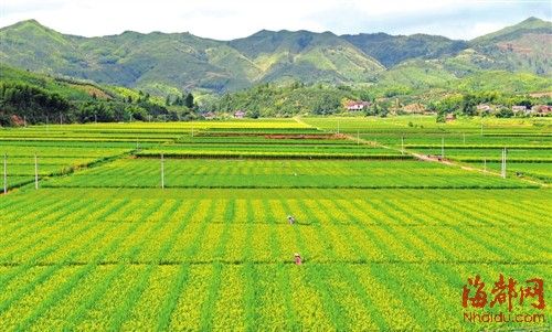 新立良种繁育场天气预报更新